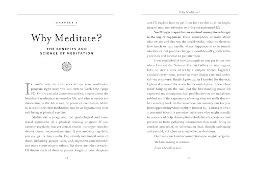 Real Happiness, 10th Anniversary Edition: A 28-Day Program to Realize the Power of Meditation